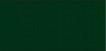 Verde muschio RAL 6005